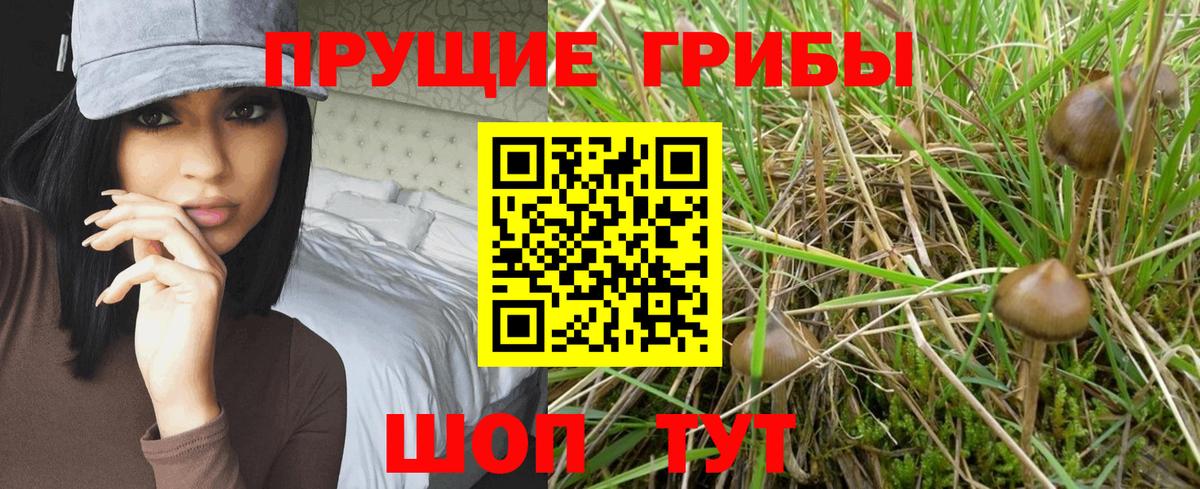 наркотики  Псилоцибиновые грибы ЛСД  Вход с VPN  Дивногорск 