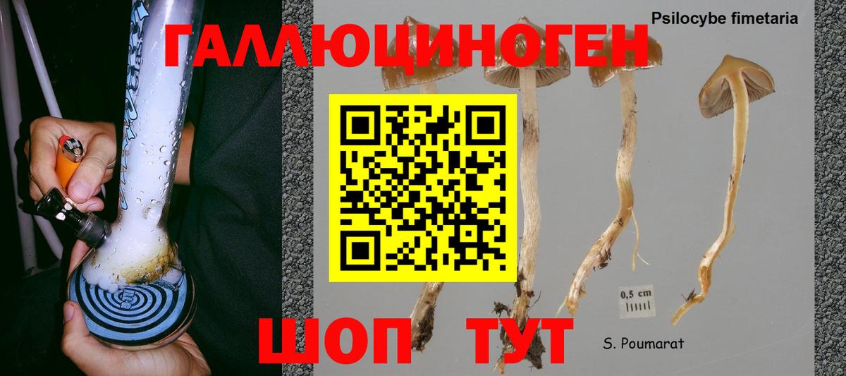 Псилоцибиновые грибы GOLDEN TEACHER Дивногорск